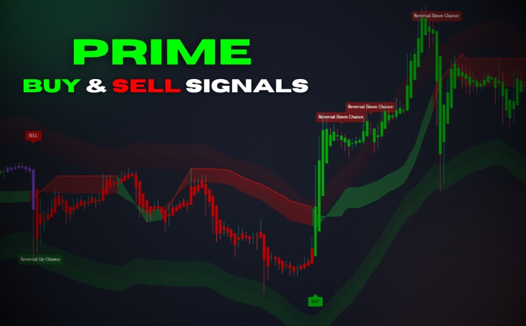 Buy & Sell Signals